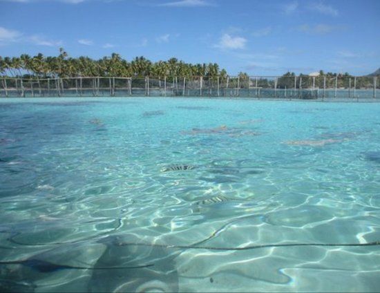 Park Morski Bora Bora Lagoonarium